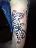 forums/f27-tattoos-piercings/att2226-colored-tiger-jpg