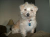 BearPaw's Avatar