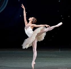 .Jet� Arabesque golfer.'s Avatar