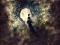 Celestial_Echo's Avatar