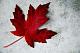 For all of us living above the 49th parallel! For anyone who is Canadian and proud of our North, Strong and Free! :P